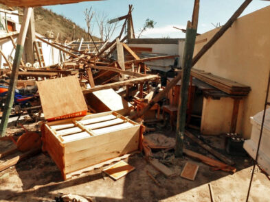 SchreinwerkstattNachdemSturm